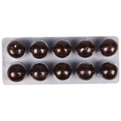 保和丸,保和丸 9g*10丸,丸剂_9g*10丸,集药方舟 | 药品零售 | 电商平台