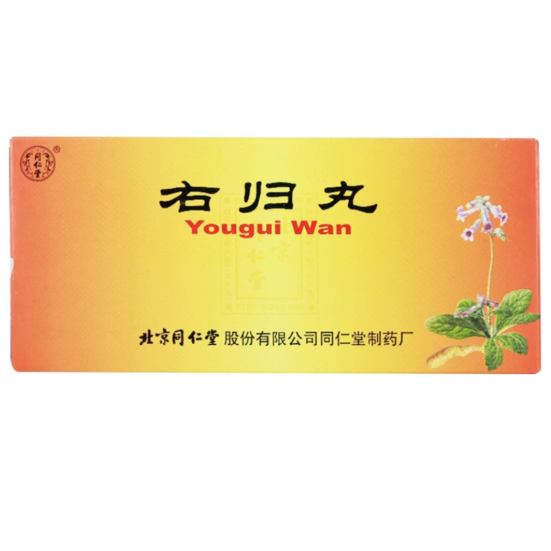 右归丸,右归丸,丸剂_9g*10丸,集药方舟 | 药品零售 | 电商平台